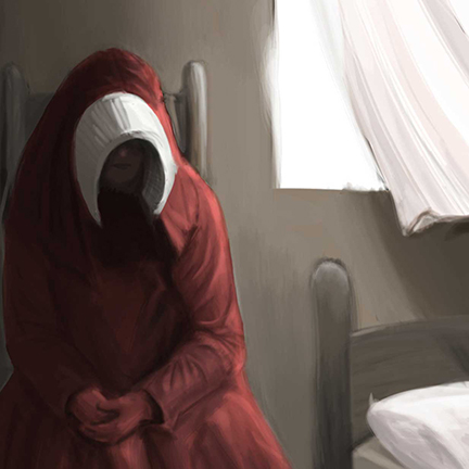 An image of a lady in red for the cover of a handmaid's tale